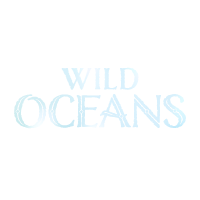 Wild Oceans