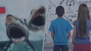 Bait/Einstein Challenge