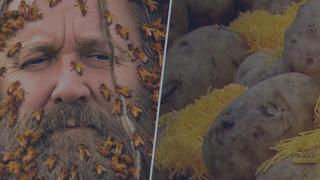Bee Czar/Freaky Eaters
