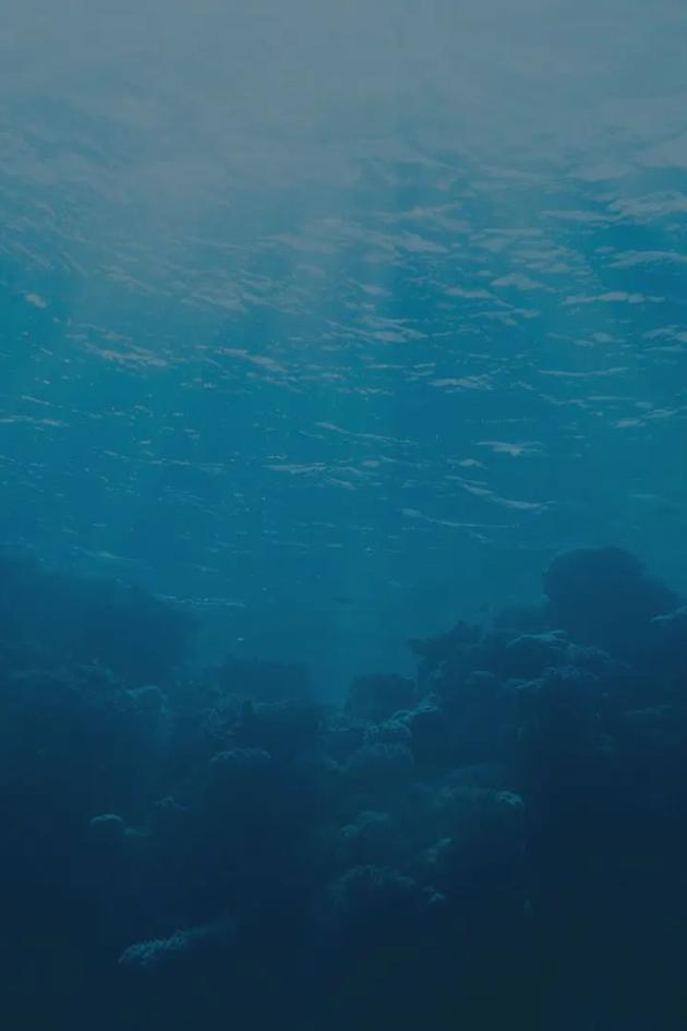 Deck the Hallmark Presents: We Watch “The Way Home"