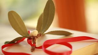 Robert's DIY Fabric Mistletoe Sprigs