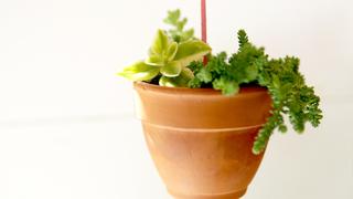 DIY Hanging Planter