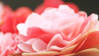 How to Create Paper Punch Tissue Flowers
