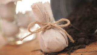 How to Make a Seed Capsule