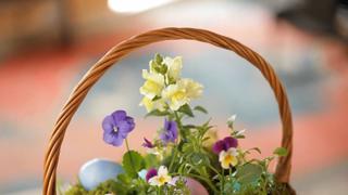 Living Easter Basket