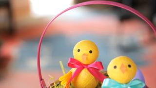 Robert's DIY Easter Chicks (Easter Collab!)