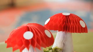 Robert's Tissue Paper Toadstools