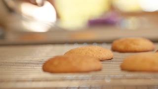 Snickerdoodle Cookies Recipe