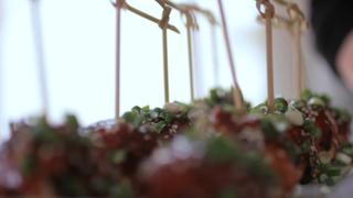 Asian Chicken Meatballs