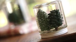 How to Make Snowglobes
