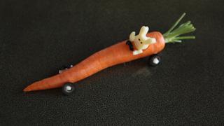 Wild Rabbit